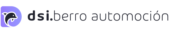 Berro Automoción – DsiMobility Logo